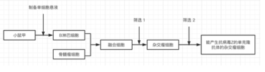 高考题库
