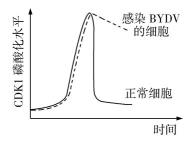 试题题库
