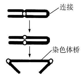 试题题库