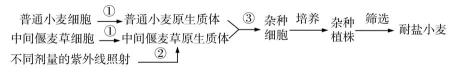试题题库