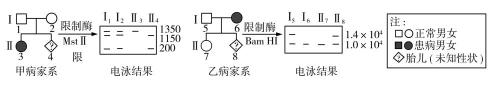 试题题库
