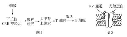 试题题库
