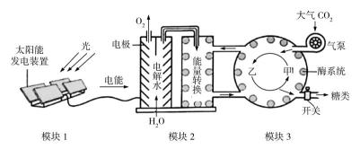 高考题库