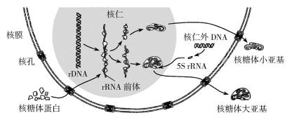 试题题库