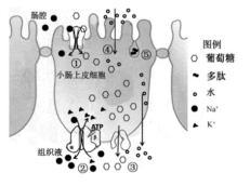 试题题库