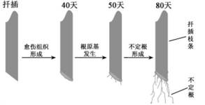 试题题库