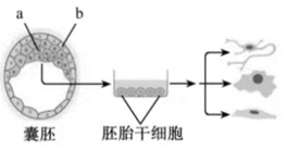 试题题库