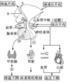 试题题库