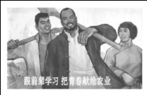 试题题库