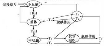 试题题库
