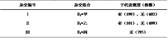 试题题库