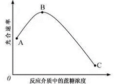 试题题库