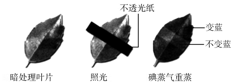 试题题库