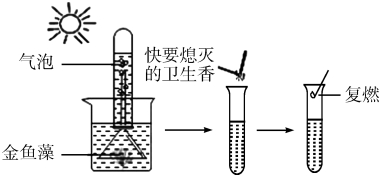 试题题库