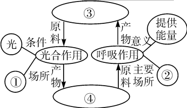 试题题库