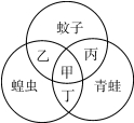 试题题库
