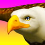 95990011com