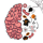 d827.apk